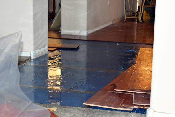 Professional Storm Water Damage Restoration technician working in Umbarger, TX